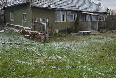 Casă cu 2 camere cu Teren 110 Mp în Pachia - 3