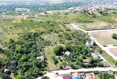 Teren Construcții intravilan de 4700 mp, în Dealuri Oradea - 2