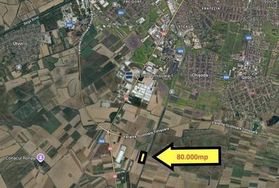 Teren extravilan 80.000 mp – lângă calea ferată & Profi Logistic – Șag - 3