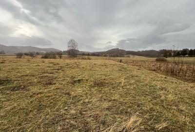 Teren Construcții extravilan de 3171 mp, în Vama Buzăului - 2