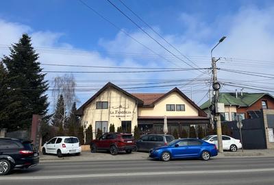 Spațiu comercial, de 175 mp, în Albert - 1