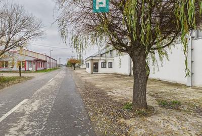 Hală cu teren intravilan de 3500 mp, în Sebiș Arad - 17