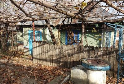 Casă cu 3 camere cu Teren 3850 Mp în Ciurea - 3