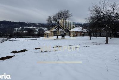 Casă cu 4 camere cu Teren 3038 Mp în Mălureni - 1