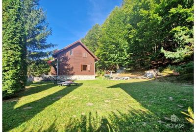 Casa de vacanta!!! Valea Bozom- Apata - 30