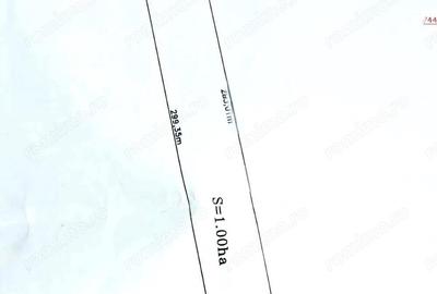 Calea Sagului- zona industriala- 10000 mp - 2
