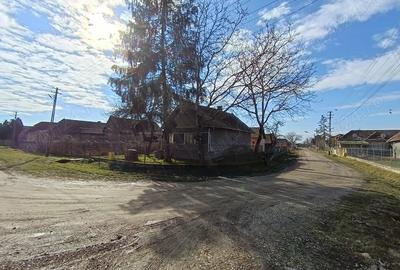 Casă cu 2 camere în Gura Arieșului - 3