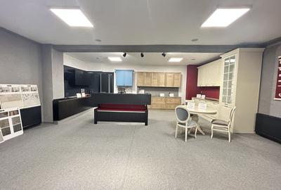 Imobil S+D+P+E+M - Centru - str. Siretului v-a-v de Regina Maria 678mp - 2