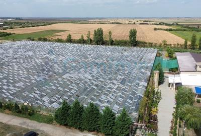 GaminvestTeren intravilan 8,6 ha cu Sere,afacere horticola in Curtici,Arad,V4282 - 2