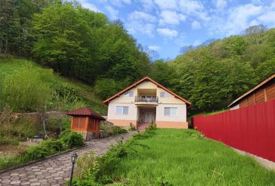 Bocsa ,Vila noua cu Teren 3000 Mp Comision ZERO Cumparator - 2