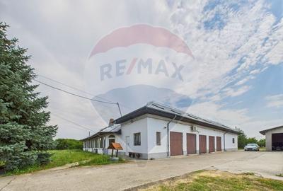 Proprietate specială, de 937 mp, în Dragomirești-Deal