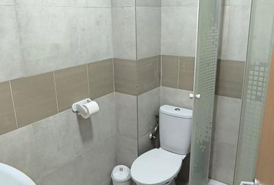 Garsonieră nedecomandată, mobilată în Frumoasa - 2