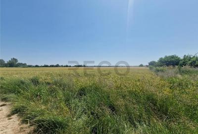 Teren de 4110 mp, în Fughiu - 2