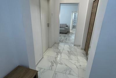 Baba Novac, ParkLake,Reconstructiei,Metrou Dristor 10 Min,renovat 2022 - 8