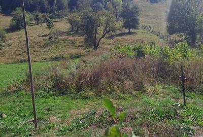 Casă cu 3 camere în Densuș - 7