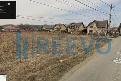 Teren intravilan 1.600 mp Lilieci - 2