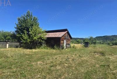 Casa cu teren 5900 mp str. Ghinzii sub padure Casa cu teren 5900 mp str. Ghinzii sub padure - 4