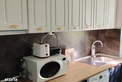 Apartament cu 2 camere în Podu Roș - 11