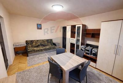 Apartament cu 3 camere semidecomandat în Grigorescu - 3