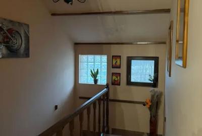 Casă cu 8 camere cu Teren 5000 Mp în Malu Mare - 4