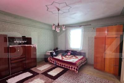 Casa cu teren 32 ari Viile Tecii, la 30 km de Bistri?a - 8