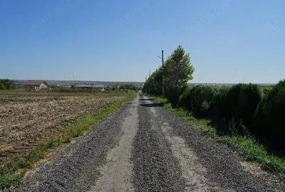 Teren de 5000 mp, în Valu lui Traian - 8