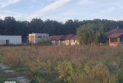 Spațiu comercial, în Balotești - 4