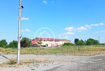 Hala de inchiriat in zona Nojorid, Bihor - 4