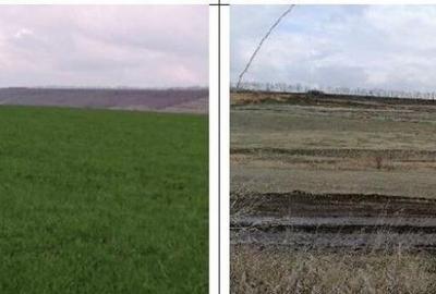 Teren extravilan Tiganasi, cota parte 1/5, ID: R2822453 - 7