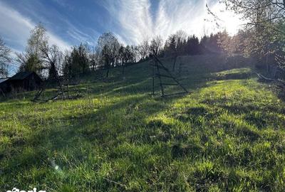 Teren de 2500 mp, în Valea Doftanei - 4