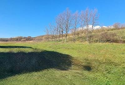 Teren intravilan\constructii \Sura Mare \ Sibiu - 6