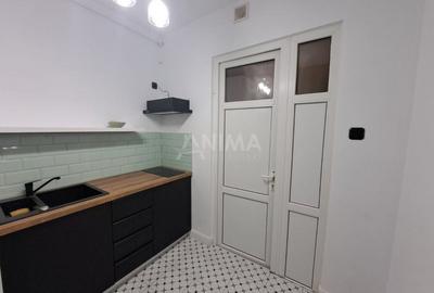 Apartament 1 camera in zona ultracentrala, ideal birouri Apartament 1 camera in zona ultracentrala, ideal birouri - 8