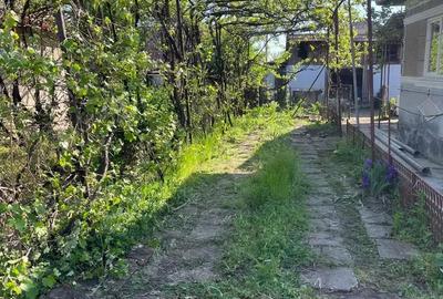 Casă cu 4 camere în Bogata - 10