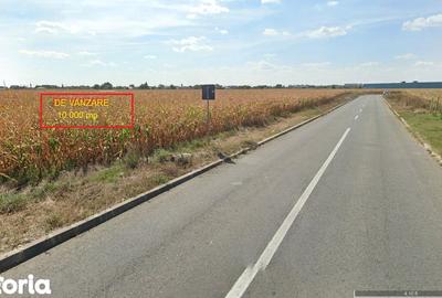 Teren de 10000 mp, în Micălaca - 4