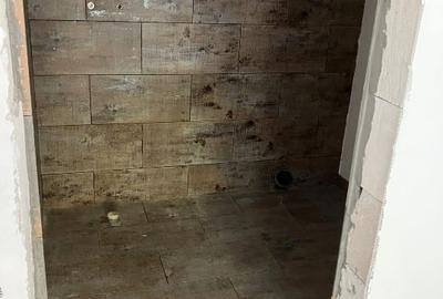 Casa 480  mp  costructie la gri; Transfagarasan, Cartisoara, 900 mp teren, parau Casa 480  mp  costructie la gri; Transfagarasan, Cartisoara, 900 mp teren, parau - 8