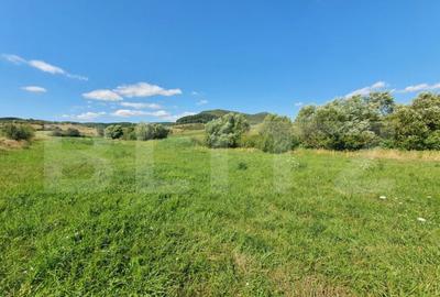 Teren intravilan, 31 de ari in Livezile - 1