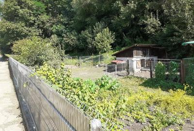 Casă cu 6 camere în Câmpulung Moldovenesc - 1