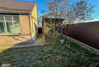 FILM! Proprietate traditionala, Targu Secuiesc, Covasna - 7