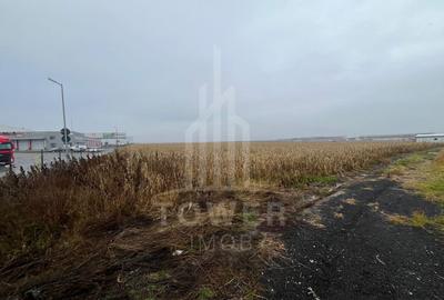 Teren Intravilan | Zona Industriala Vest | 20.663 mp - 11