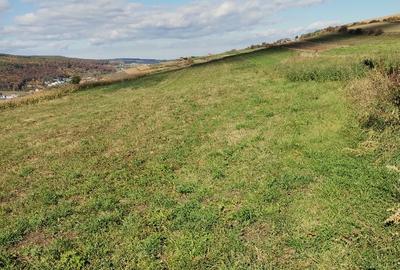 Teren agricol extravilan de 4600 mp, în Baciu - 1