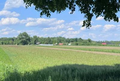 Teren de 4000 mp, în Frătăuții Vechi - 1