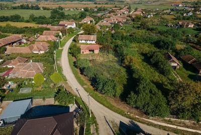 Teren 991mp Gura Arie?ului COMISION 0% - 7