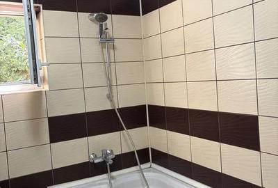 Apartament cu 3 camere semidecomandat, mobilat în Andrei Mureșanu - 8