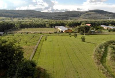 Lac Piscicol cu teren 7,5 HA de vanzare in Jud Sibiu la 10 km de Sibiu Lac Piscicol cu teren 7,5 HA de vanzare in Jud Sibiu la 10 km de Sibiu - 7