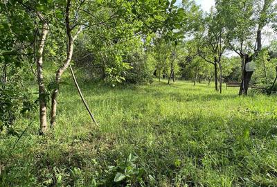 Casa de vacanta pe deal, D+P+M cu 8400 mp, teren - 4