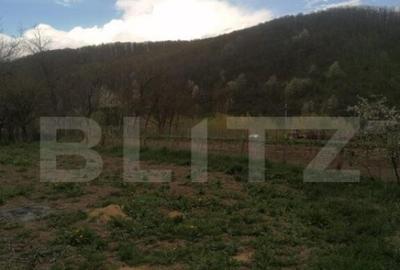 Casă cu 4 camere cu Teren 1800 Mp în Central