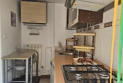 Aparatorii patriei arcadiei la vila - 6