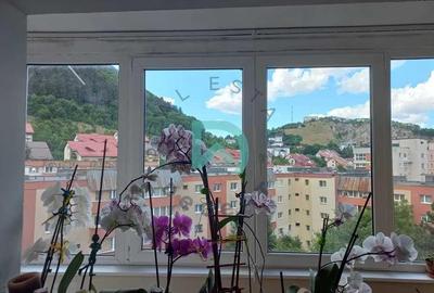 Apartament cu 3 camere decomandat, mobilat în Răcădău - 3