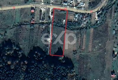 Teren în Podiș - 2