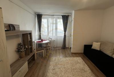 Garsonieră decomandată, mobilată în Craiovei - 2